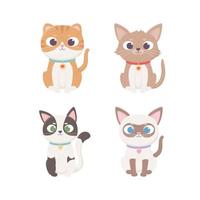 personajes de gatos pequeños sentados de diferentes razas con mascotas vector