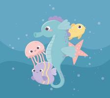 seahorse jellyfish fishes starfish bubbles life cartoon under the sea vector