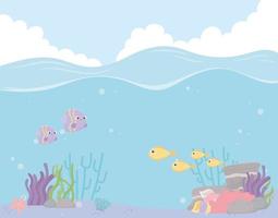 fishes starfish coral reef landscape water under the sea vector