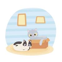 pet cats with cardboard box room cartoon vector