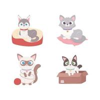 cats with box and lying in cushion vector