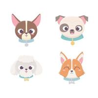 cute faces dog different pedigree domestic cartoon animal, collection pets vector