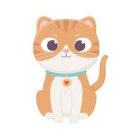 cute little cat with collar domestic, pets vector