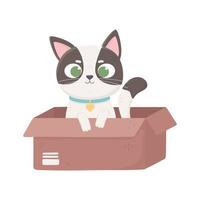 gatito con collar en la caja, mascotas vector