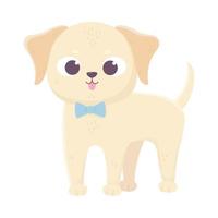 cute llittle dog standing wtih bow tie domestic cartoon animal, pets vector