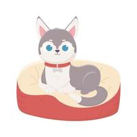 cute domestic little dog lying in cushion, pets vector