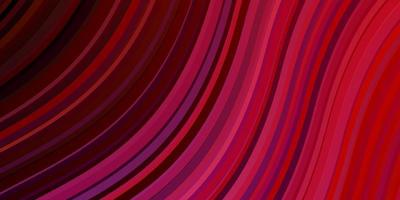 Fondo de vector rojo rosa oscuro con líneas dobladas Ilustración brillante con patrón de arcos circulares degradados para folletos folletos