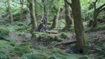 en man mountainbike i en skog. video