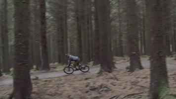 en man mountainbike i en skog. video