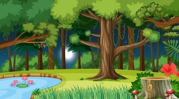 Nature forest at night scene with many trees vector
