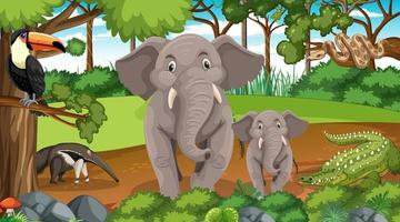 Elephant family with other wild animals in forest scene vector