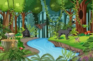 Nature scene with stream flowing through the forest with wild animals vector