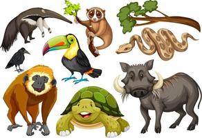 Set of various wild animals on white background vector