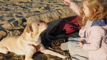 fille fille d'âge préscolaire sur la plage nourrit le chien printemps