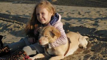 Girl preschool girl on the beach feeds the dog video