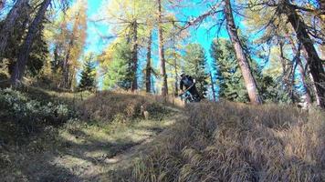 Ciclista de montaña en bicicleta por un sendero singletrack con mochila y casco. video