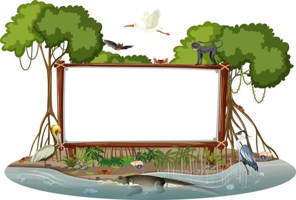 Empty banner in mangrove forest scene with wild animals isolated