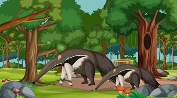 Anteater family in forest scene with many trees vector