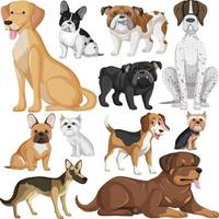 patrón sin fisuras con muchos perros lindos diferentes vector