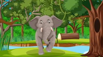 Elephant in forest or rainforest scene with many trees vector