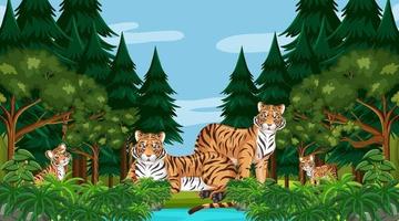 Escena de bosque o selva tropical con familia tigre. vector