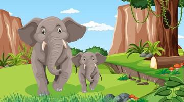 Mamá elefante y bebé en el bosque o la escena de la selva tropical con muchos árboles vector