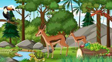 Dos impala con otros animales salvajes en el bosque durante el día. vector