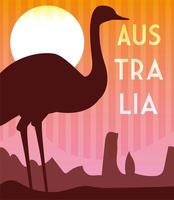 card with ostrich and australia label vector