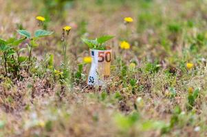 Billete de 50 euros envolviendo una plántula foto