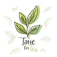 tiempo para el té con hojas de diseño vectorial vector