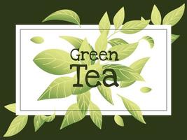 green tea with leaves in frame vector design