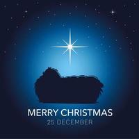 nativity, baby Jesus in crib bright star, traditional celebration religious vector