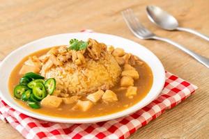 Chicken in brown sauce or gravy sauce with rice photo