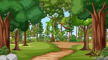 escena del bosque con varios árboles forestales. vector