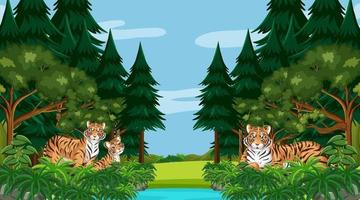 Escena de bosque o selva tropical con familia tigre. vector