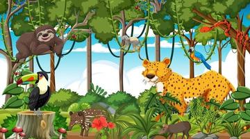 Forest at daytime scene with different wild animals vector