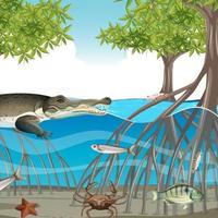 Mangrove forest scene at daytime with animals in the water vector