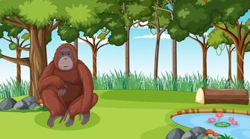 Orangutan in forest or rainforest scene with many trees vector