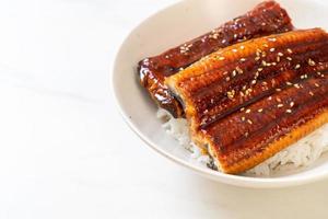 Japanese eel grilled with rice bowl or Unagi don photo