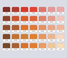 Brown Color Palette with Hex vector