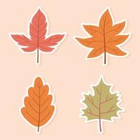 otoño arce hojas follaje naturaleza decoración pegatinas iconos vector