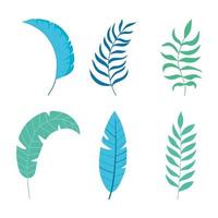 diferentes hojas tropicales follaje botancial naturaleza iconos diseño aislado vector