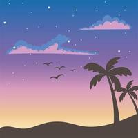 palmeras tropicales pájaros puesta de sol nubes estrellas cielo escena vector