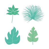 diferentes hojas tropicales follaje naturaleza botánica iconos decorativos diseño aislado vector