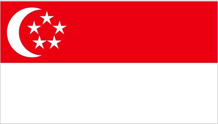 Singapore flag in cartoon style isolated on white background