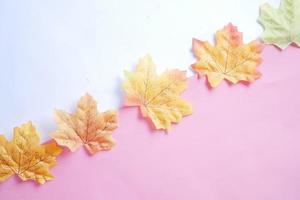 Autumn maple leaves isolated on white background, top down photo