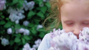 A little girl outdoors in a park or garden holds lilac flowers Lilac bushes in the background Summer park video