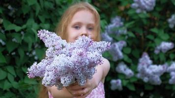 A little girl outdoors in a park or garden holds lilac flowers Lilac bushes in the background Summer park video