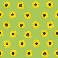 Cute geen pattern with line sunflowers Seamless background Textiles for children Minimalism paper scrapbook for kids vector