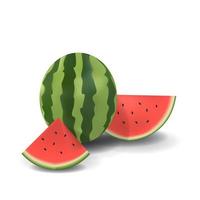 Watermelon Healthy Organic Fresh Fruit Summer Isolated Vector Illustration